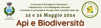 Api e biodiversità 