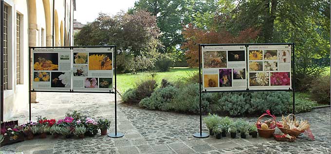 I pannelli "DAL NETTARE AL MIELE" esposti nel giardino dell'abbazia