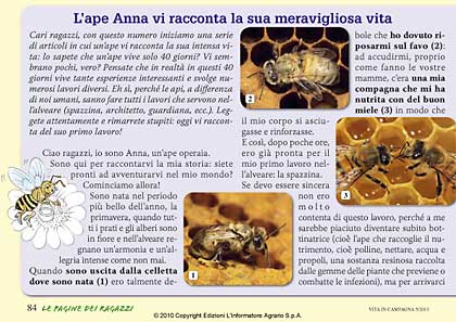 la storia dell'ape anna