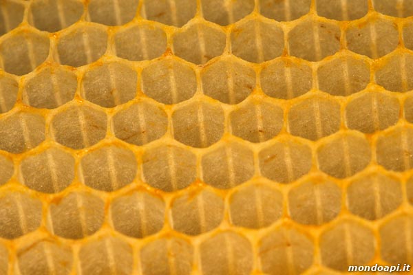 la geometria delle cellette del favo