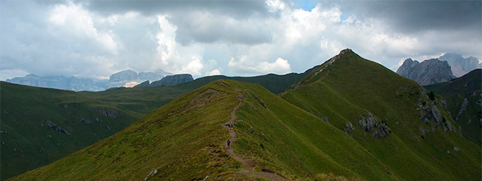 Il mondo delle api al ristoro El Zedron in val di Fassa 