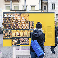 Citt&agrave; a misura d'ape 