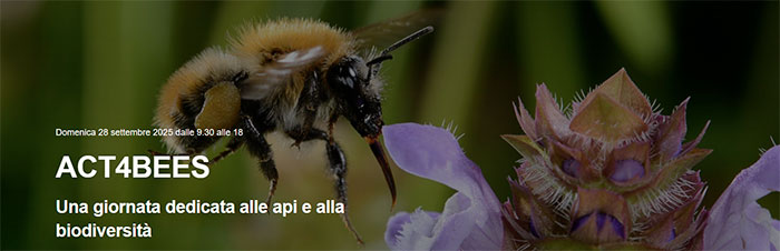 ACT4BEES 