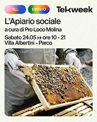 L'Apiario sociale