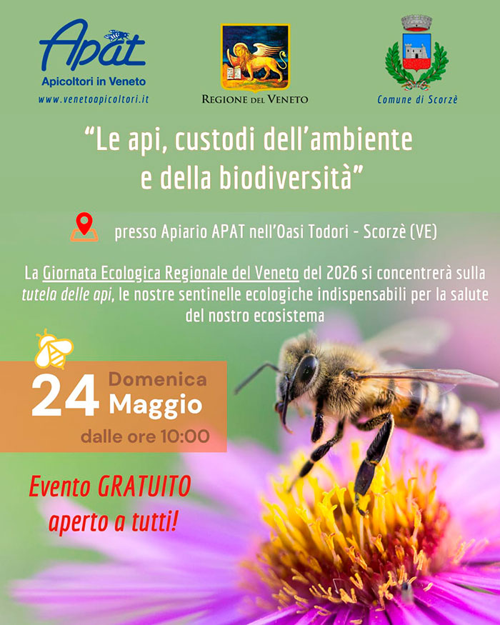 Locandina Scorz&egrave;