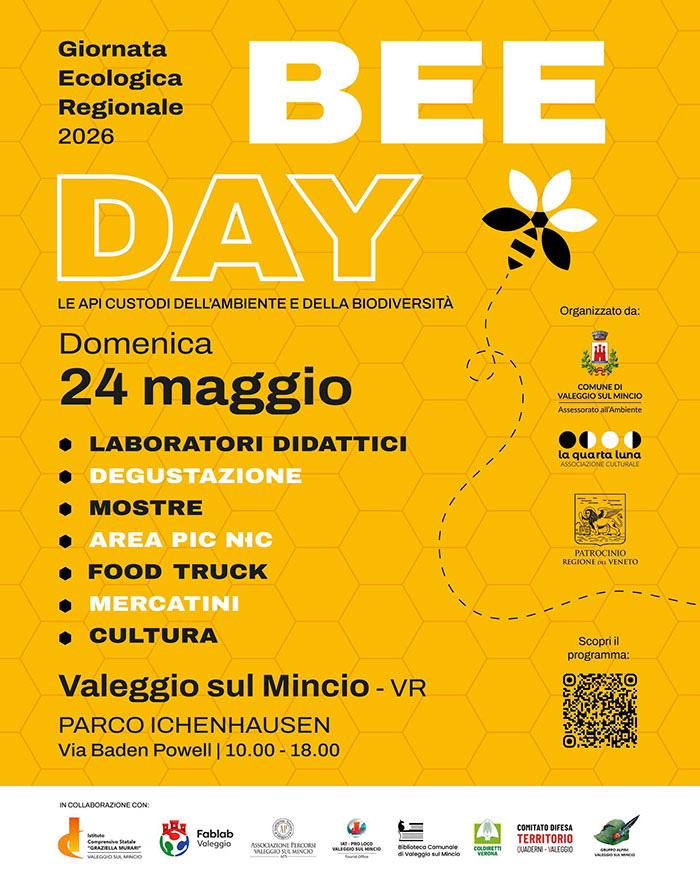 Locandina Valeggio
