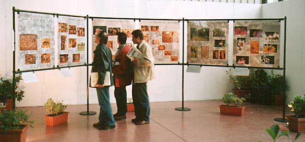 Esposizione della mostra "Vita e segreti dell'alveare" all'interno della fiera