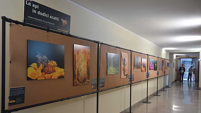 Le dodici fotografie della mostra esposte nel corridoio della sala convegni