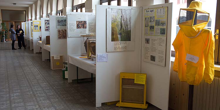 La mostra allestita dall'Associazione apicoltori della provincia di Brescia