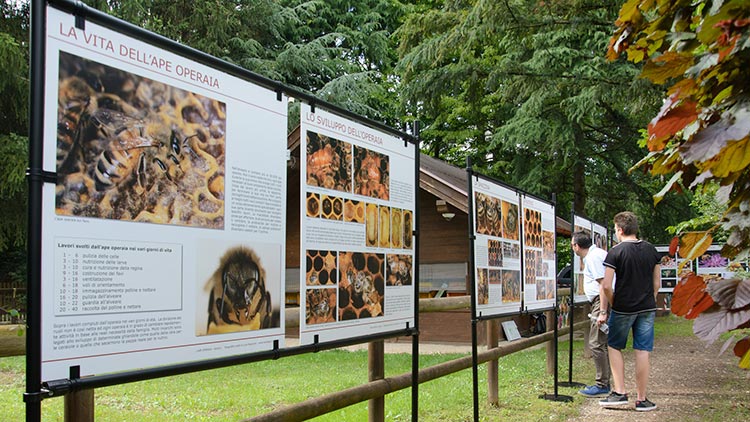 Il percorso fotografico LA VITA DELL'APE OPERAIA esposto accanto all'apiario.