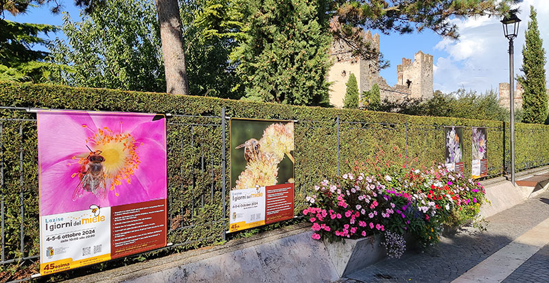 Le locandine fotografiche esposte in via Rosenheim.