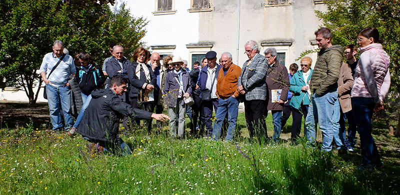 Biodiversit&agrave; e piante nettarifere nel giardino di villa Bertoldi.