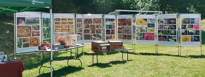 La mostra sul mondo delle api esposta ad Arbizzano (VR) a villa Albertini.